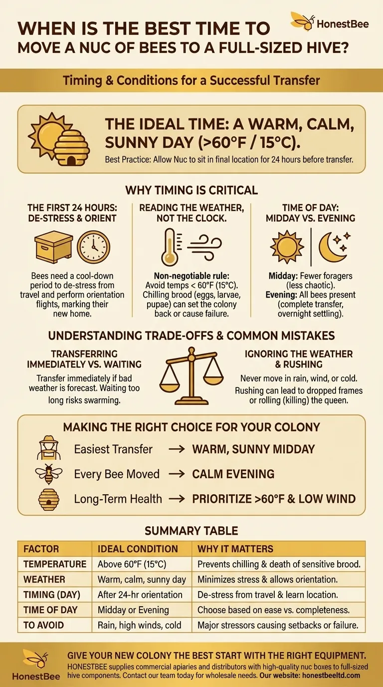 新しい群（nuc）をフルサイズの巣箱に移動するのに最適な時期はいつですか？ストレスを最小限に抑え、成功裏に移動させるために ビジュアルガイド