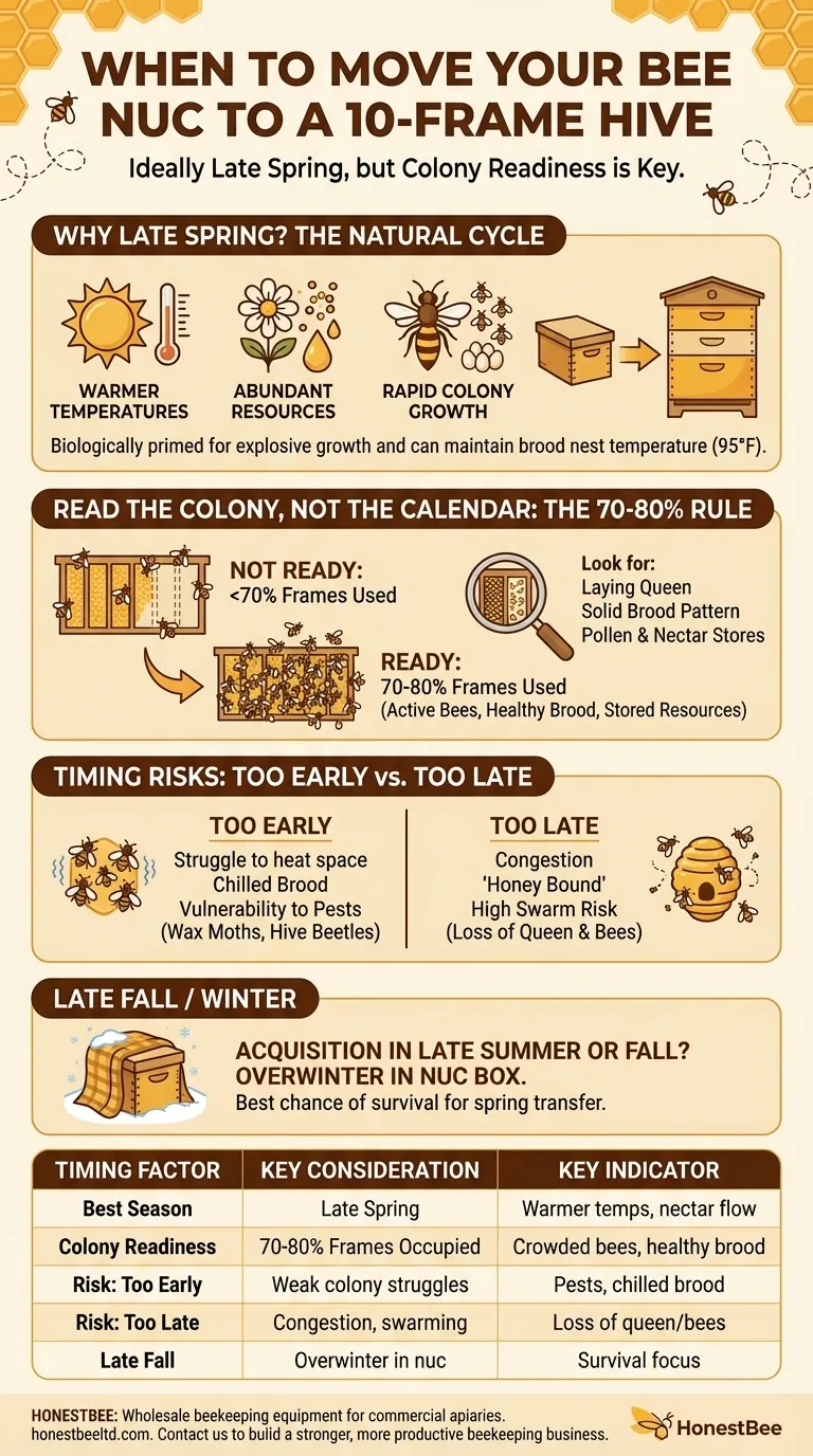 What is the recommended time of year to move bee nucs to a 10-frame hive? A Guide for Apiary Success Visual Guide
