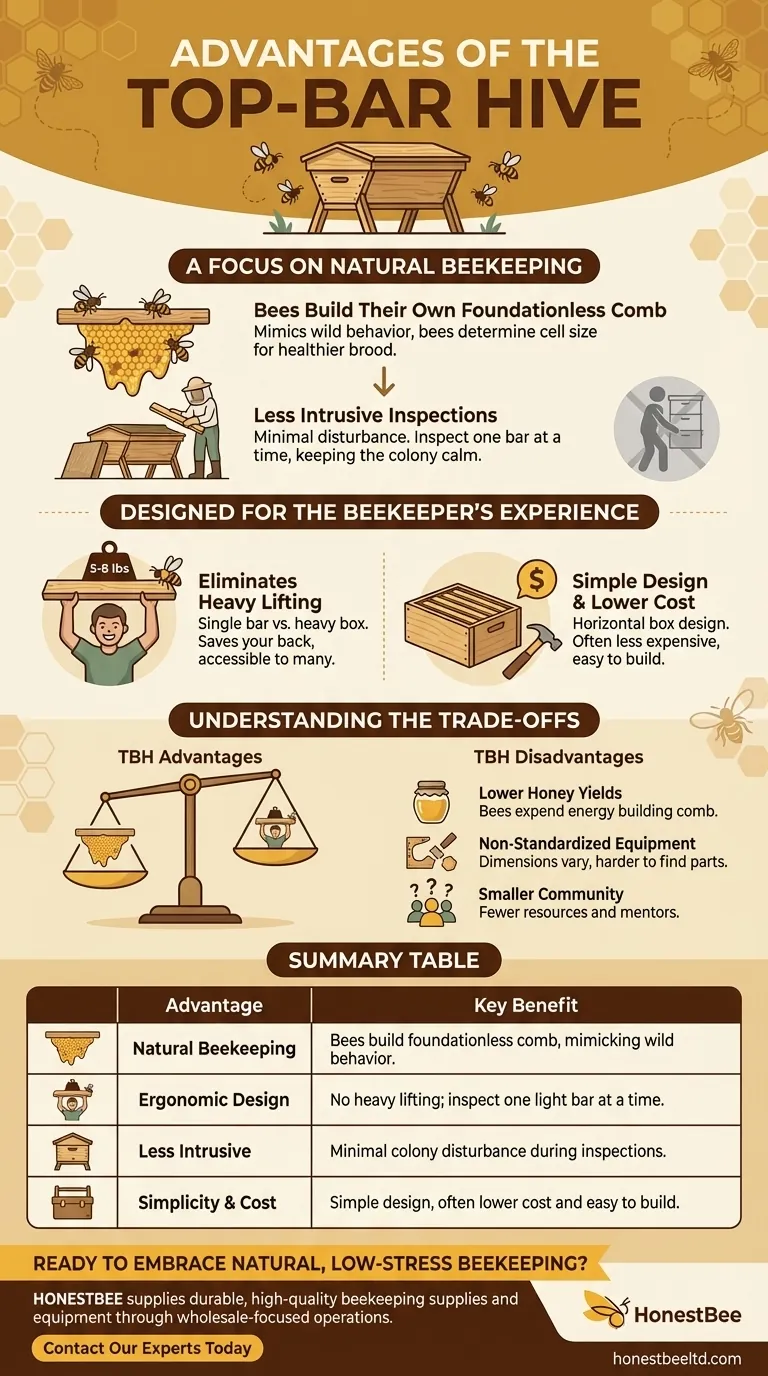 What are the advantages of the Top-Bar Hive? A Natural, Low-Stress Approach to Beekeeping Visual Guide