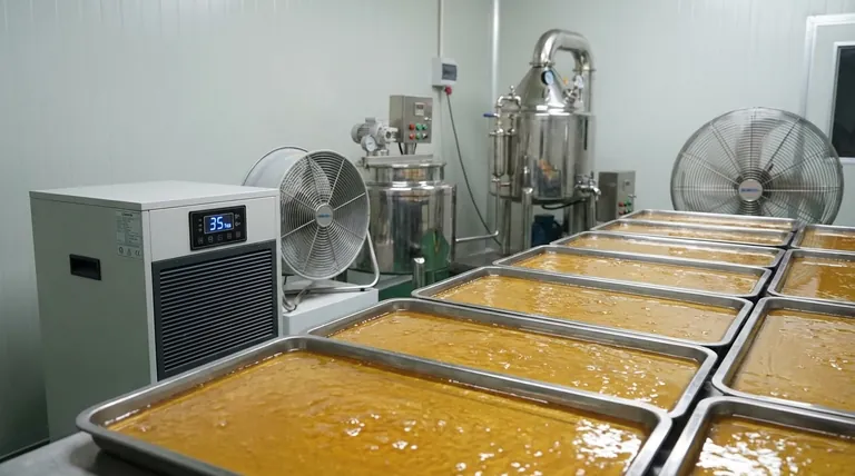 Can you air dry honey? Master the Right Way to Preserve Honey Quality