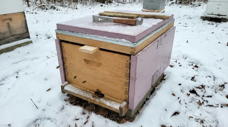 Can Top Bar Hives be used in cold climates? A Guide to Successful Wintering