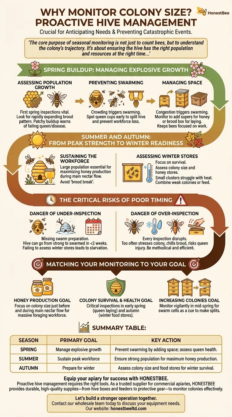 Why is it important to monitor colony size during specific times of the year? Ensure Hive Health & Productivity Visual Guide