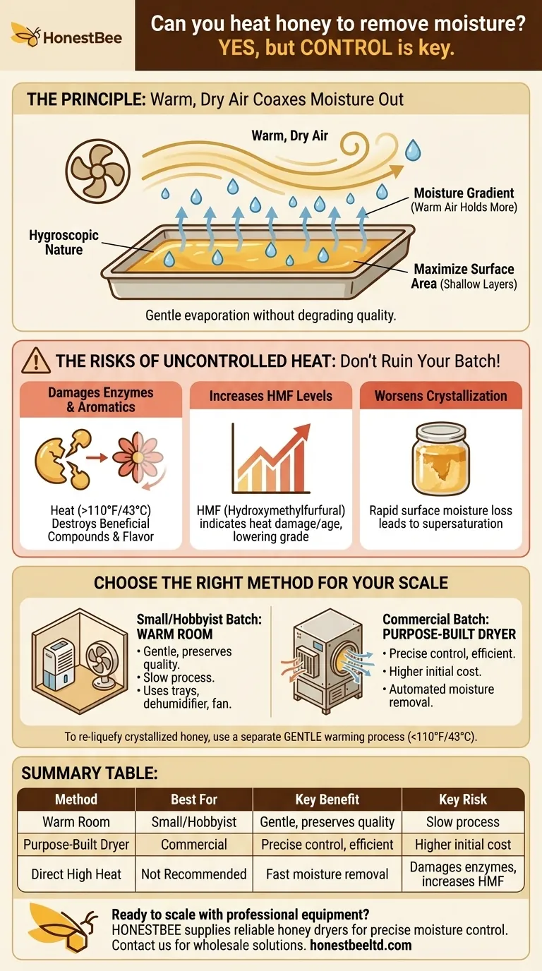 Pouvez-vous chauffer le miel pour éliminer l'humidité ? Préservez la qualité du miel en toute sécurité grâce à un séchage contrôlé Guide Visuel