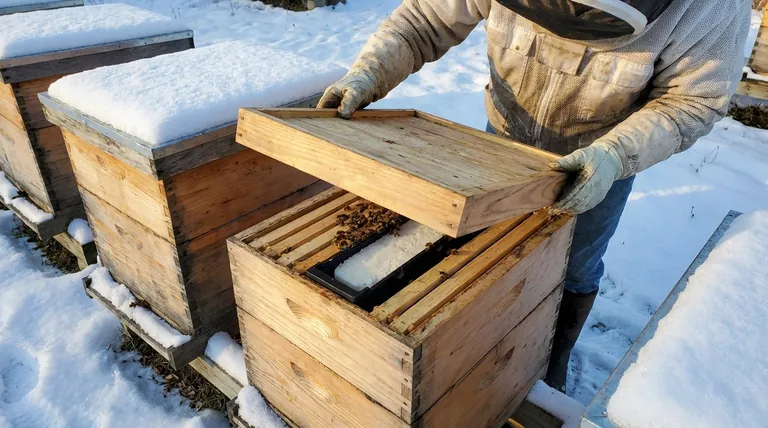 What are winter patties, and why are they used? Essential Winter Survival for Your Bee Colony