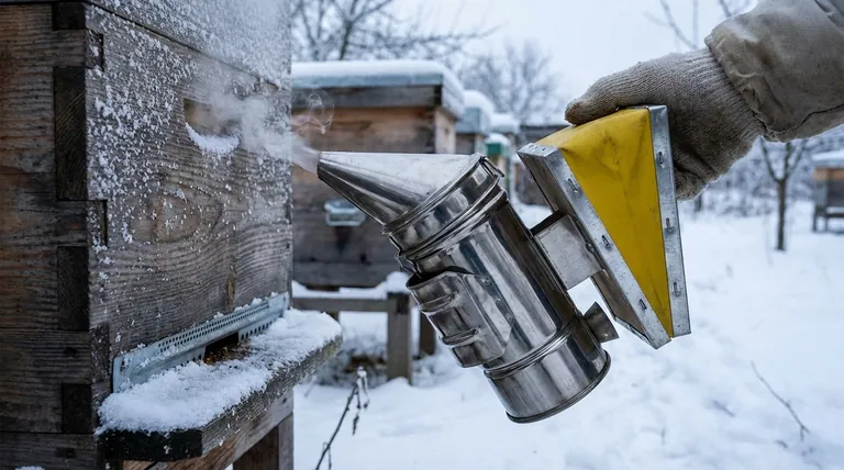 Для чего используются зимние лепешки в пчеловодстве? Предотвратите голодание колонии этой зимой