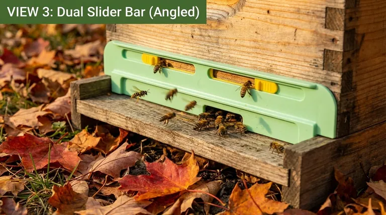 How does a robbing screen benefit bees in the fall? Protect Your Hive's Winter Honey Stores