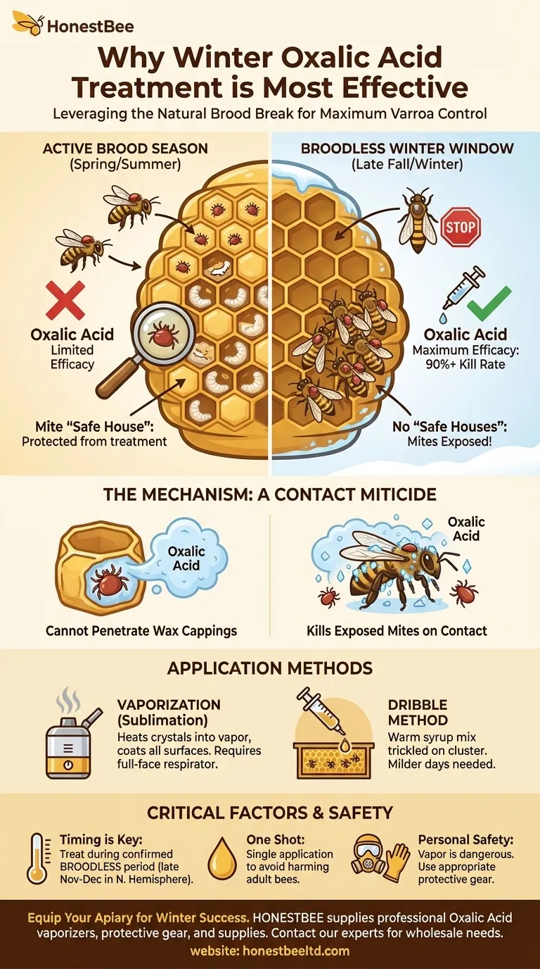 Why is winter a good time to treat hives with Oxalic Acid? Maximize Varroa Mite Control with a Brood Break Visual Guide