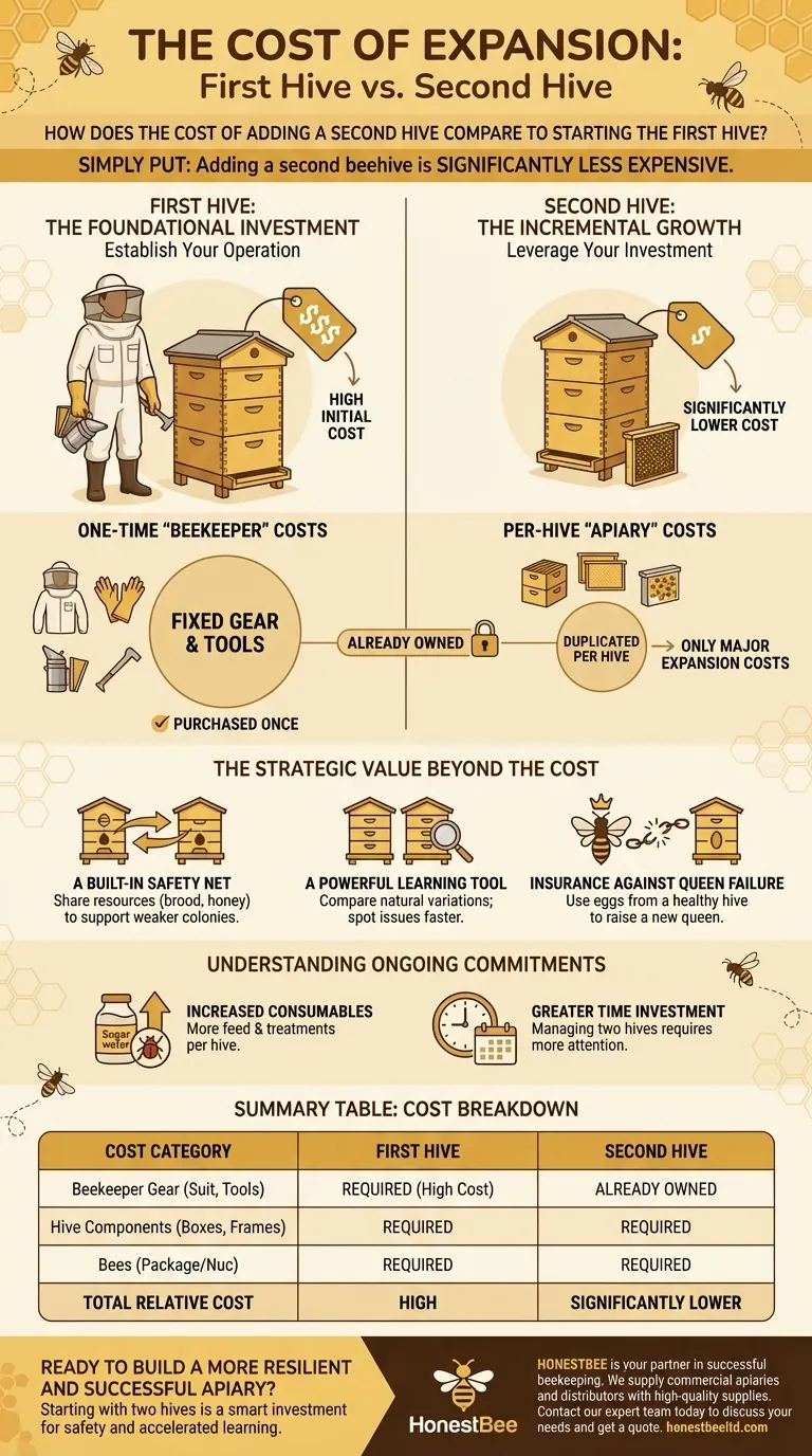 How does the cost of adding a second hive compare to starting the first hive? Leverage Your Initial Investment Visual Guide