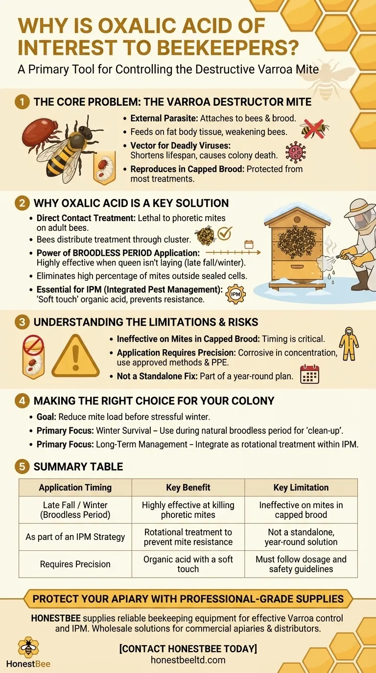 Why is oxalic acid of interest to beekeepers? A Key Tool for Varroa Mite Control Visual Guide
