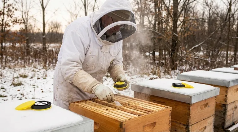 Why is oxalic acid of interest to beekeepers? A Key Tool for Varroa Mite Control
