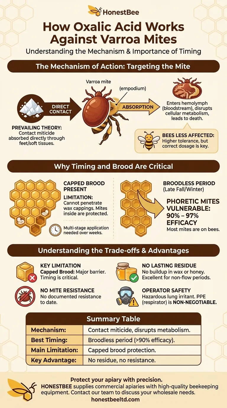 How does oxalic acid work against Varroa mites? A Guide to Effective, Non-Resistant Treatment Visual Guide