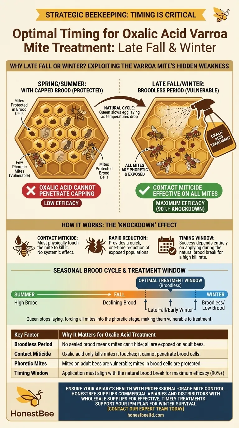 Why is oxalic acid often applied in late fall or winter? Maximize Varroa Mite Control for Your Hives Visual Guide