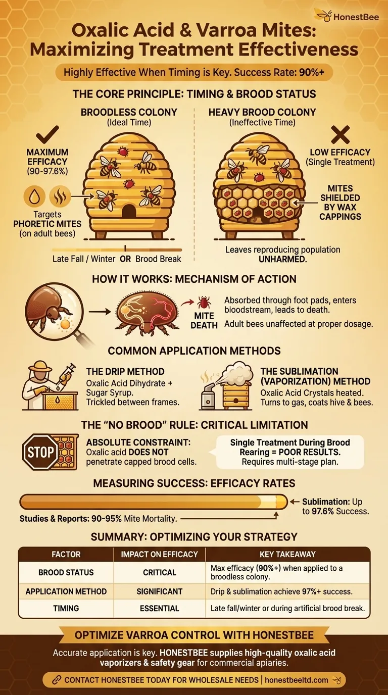 What is the effectiveness of oxalic acid treatment on Varroa mites? Achieve 90%+ Mite Control with Proper Timing Visual Guide