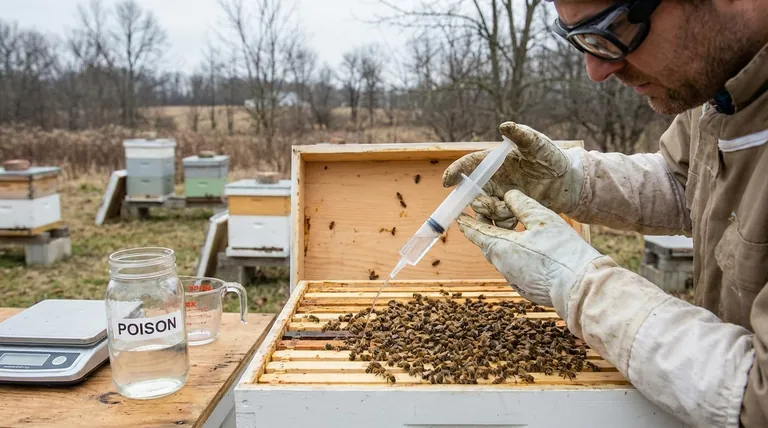 Каковы шаги по приготовлению смеси щавелевой кислоты для пяти ульев? Безопасное, точное руководство для пчеловодов