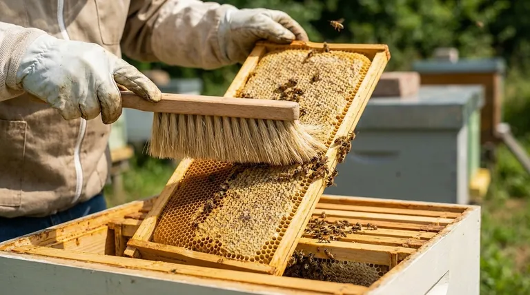 What is the role of a bee brush in beekeeping? Master Gentle Bee Handling for a Calm Hive
