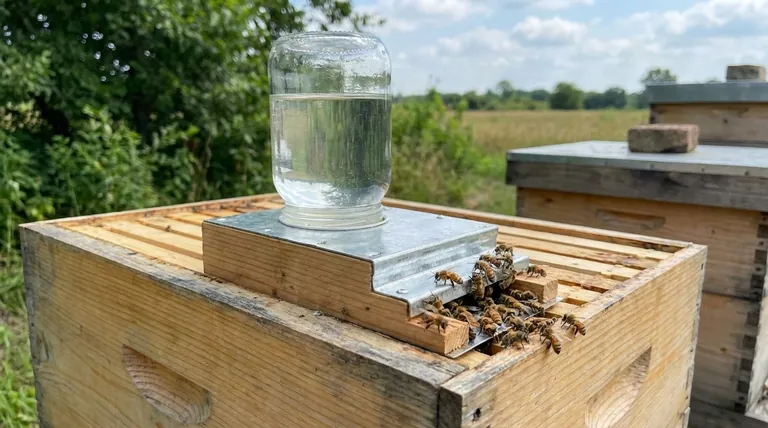 Warum ist eine Futtervorrichtung bei der Etablierung eines Bienenstocks wichtig? Der Schlüssel zum Überleben und Wachstum der Kolonie