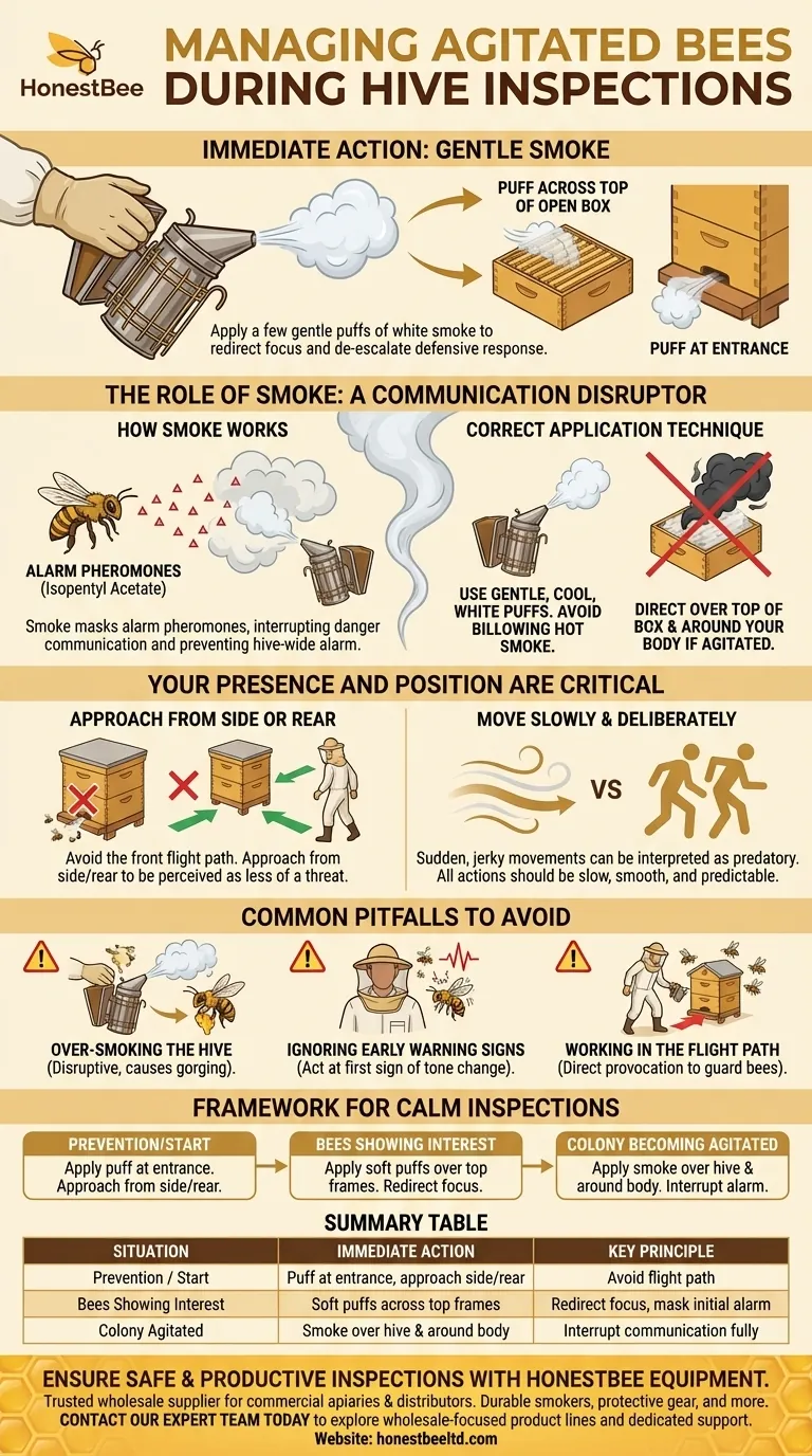 Was sollten Sie tun, wenn Bienen während der Inspektion des Bienenstocks zu viel Aufmerksamkeit zeigen? Meistern Sie ruhige Bienenstockinspektionen Visuelle Anleitung