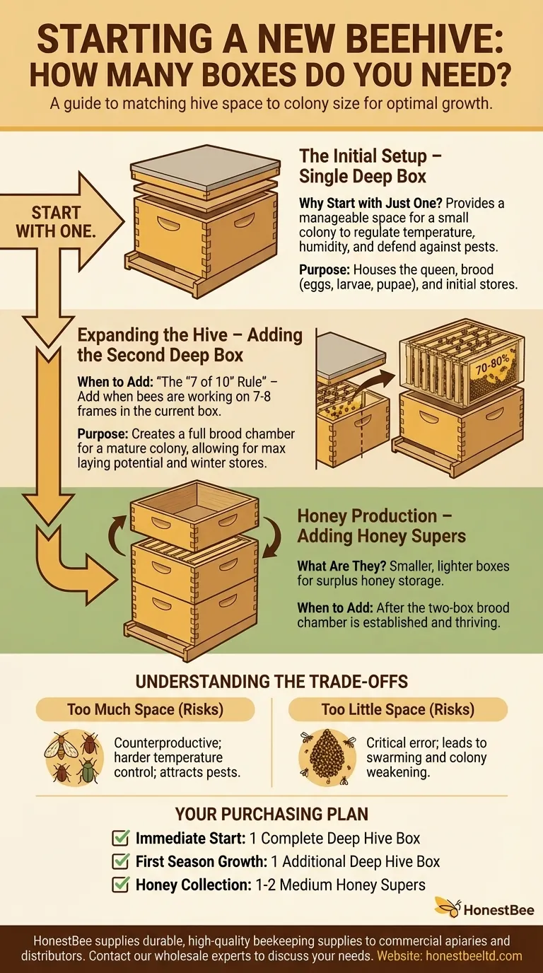How many beehive boxes are needed when starting a new hive? A Guide to Proper Hive Setup Visual Guide