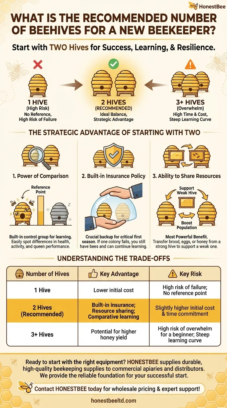 What is a recommended number of beehives for a new beekeeper to start with? Start with Two for Success Visual Guide