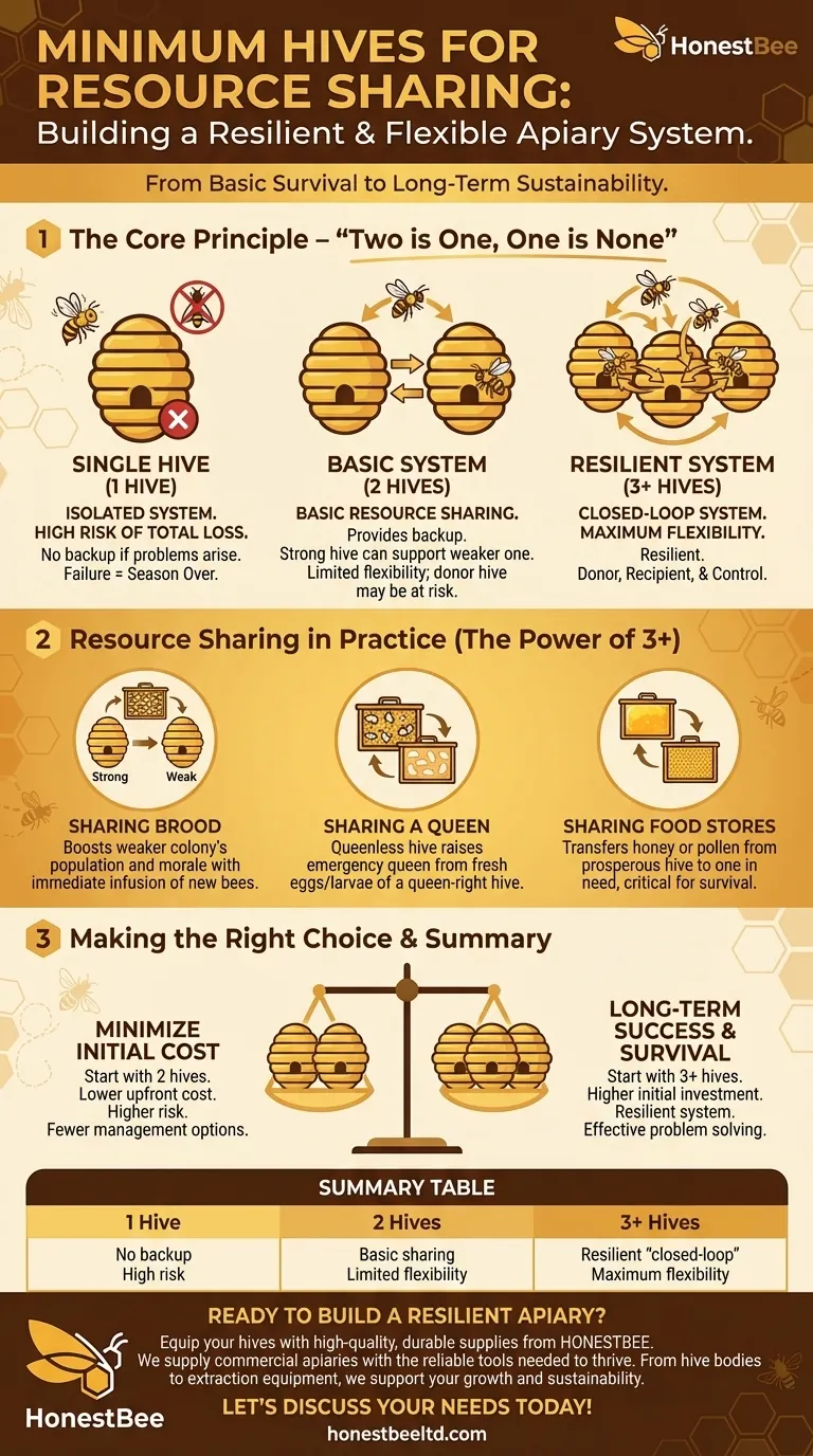 What is the minimum number of hives needed to share resources? Build a Resilient Apiary for Success Visual Guide