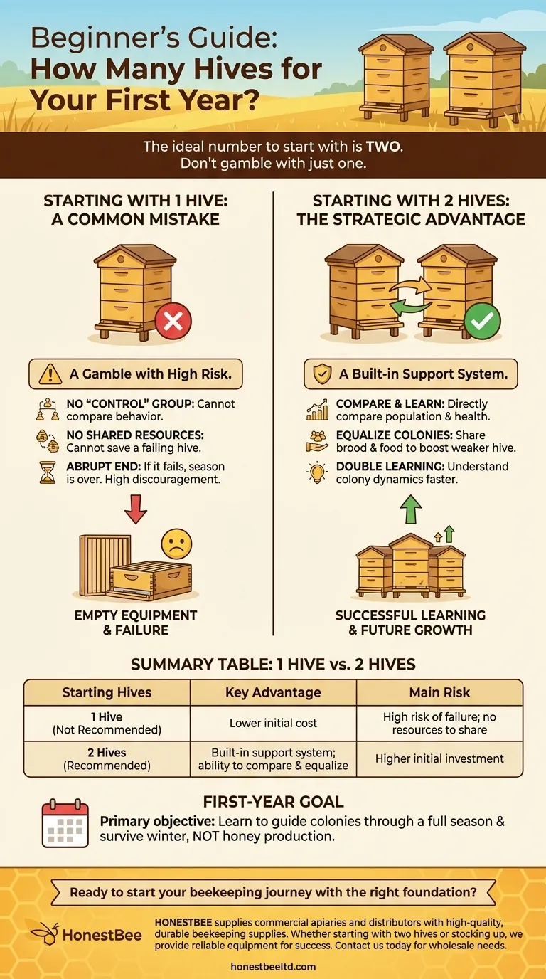 Quantas colmeias um iniciante deve começar? A vantagem estratégica de começar com duas. Guia Visual