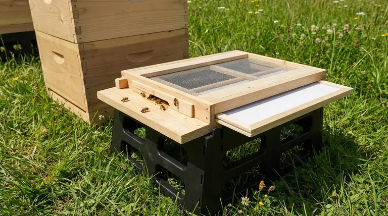 What is the function of the floorboard in a hive? Build a Strong Foundation for Your Colony
