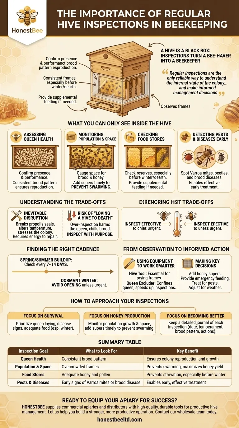 定期的な巣箱の検査は養蜂においてどのような重要性がありますか？コロニーの健康と蜂蜜生産に不可欠 ビジュアルガイド