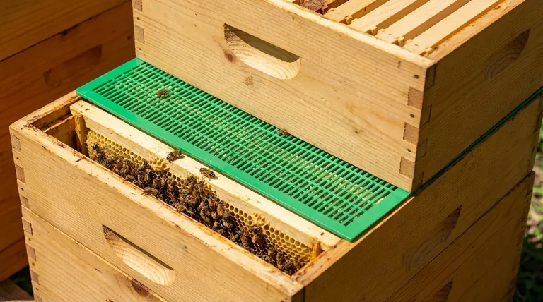 What is the role of a queen excluder in a beehive? Ensure a Clean, Brood-Free Honey Harvest