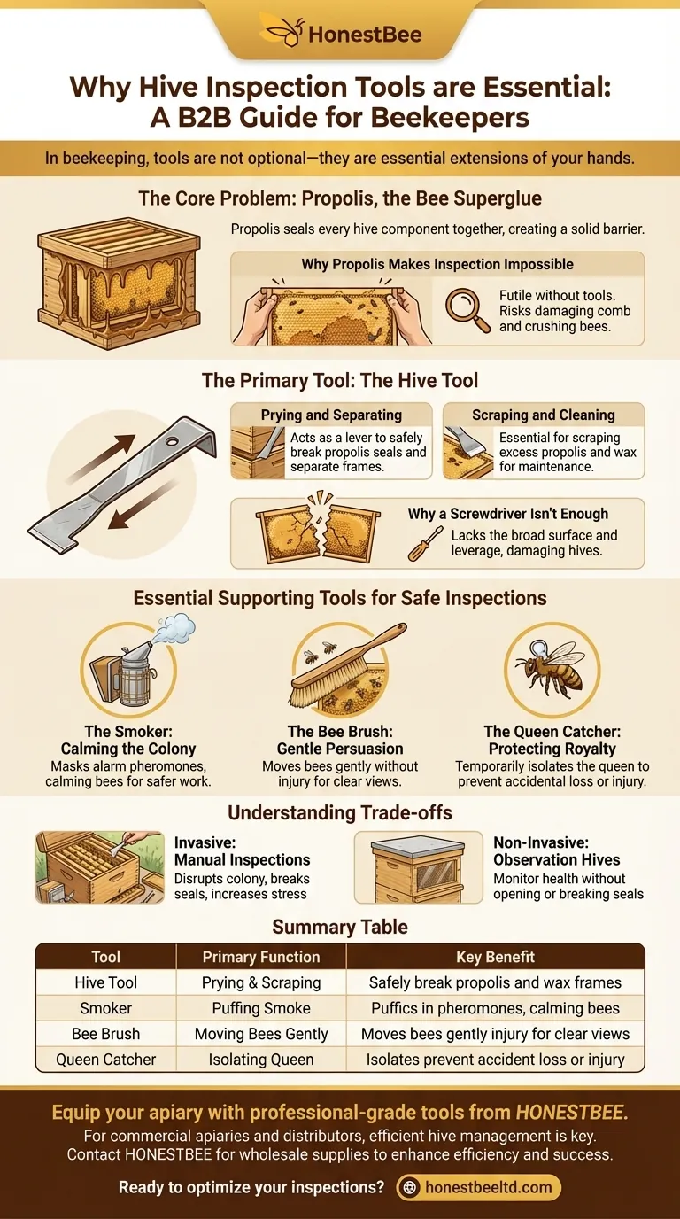 Why are hive inspection tools important for beekeepers? Essential for Safe & Efficient Hive Management Visual Guide