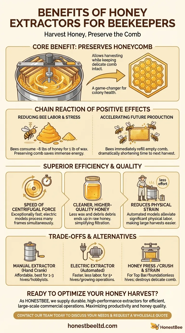 ما هي فوائد استخدام مستخلصات العسل لمربي النحل؟ تعزيز الكفاءة وجودة العسل دليل مرئي