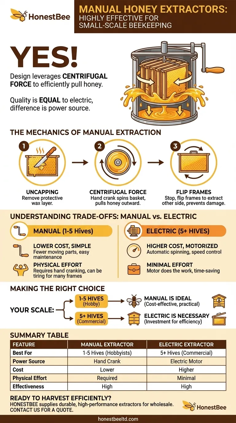 هل يمكن لمستخلصات العسل اليدوية إزالة العسل من الخلايا بفعالية؟ دليل لمربي النحل على نطاق صغير دليل مرئي