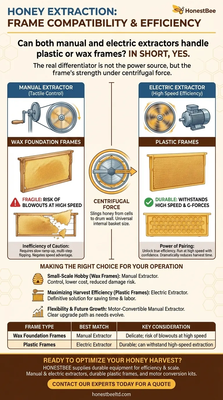 Can both manual and electric extractors handle plastic or wax frames? Unlock Efficient Honey Harvesting Visual Guide