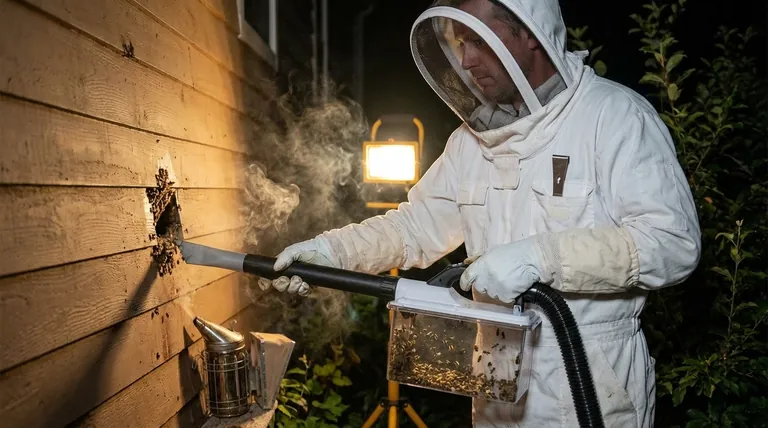 What are some tips for using a bee vacuum? Ensure a Safe and Humane Bee Removal