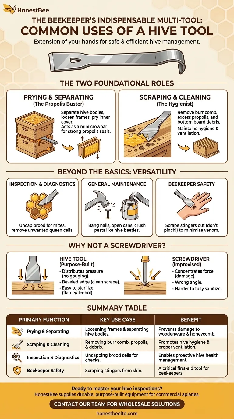 ¿Cuáles son algunos usos comunes de una herramienta de colmena? Herramienta multiusos esencial para todo apicultor Guía Visual