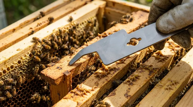 Каковы особенности пчеловодного стамески с J-образным крюком? Легко поднимайте рамки с превосходным рычагом