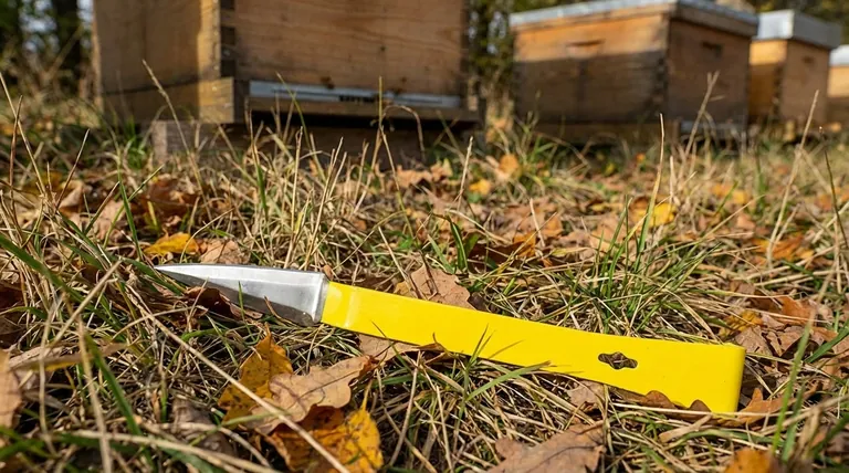 Warum werden Bienenstockwerkzeuge in leuchtenden Farben gestrichen? Vermeiden Sie den Verlust Ihrer wichtigsten Imkereiausrüstung