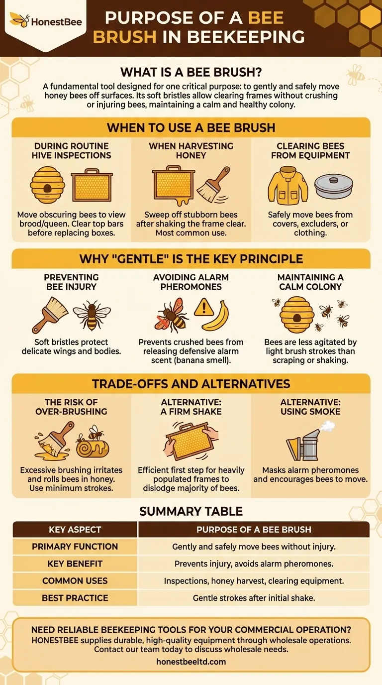 What is the purpose of a bee brush? Gently Manage Your Hive with Precision Visual Guide