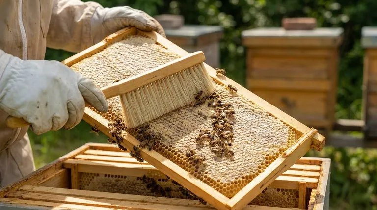 Was ist der Zweck einer Bienenbürste? Sanftes und präzises Management Ihres Bienenstocks