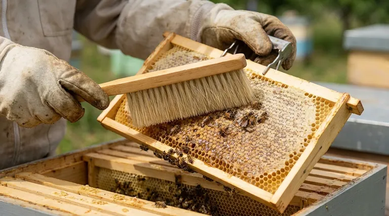 양봉에서 빗(브러시)을 사용하는 것의 장점은 무엇인가요? 부드럽고 스트레스 없는 벌통 관리를 보장하세요