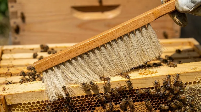 벌솔의 털과 손잡이의 특징은 무엇인가요? 건강한 벌집을 위한 부드러운 도구