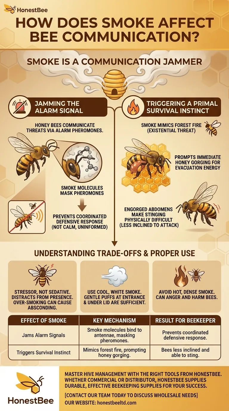 How does smoke affect bee communication? It's a Disruptor, Not a Calming Agent Visual Guide