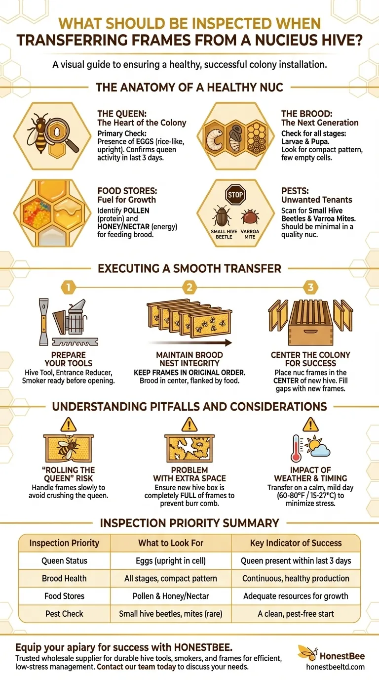 What should be inspected when transferring frames from a nucleus hive? A Guide to a Healthy Colony Transfer Visual Guide