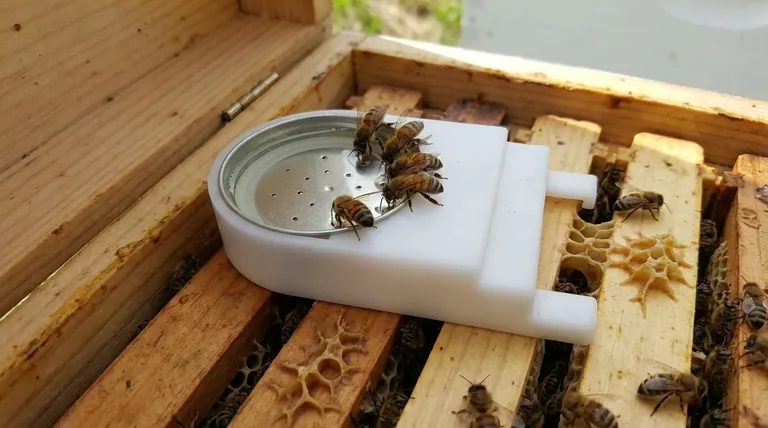 설치 후 벌집에 먹이를 어떻게 공급해야 하나요? 빠른 벌집 성장을 위한 연료
