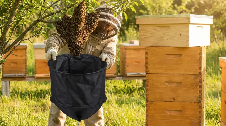 How can swarming or absconding be prevented in a bee colony? Keep Your Hive Thriving with Proactive Management