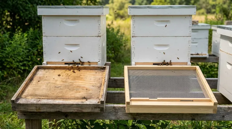 Quali sono gli scopi principali di un fondo pieno e di un fondo a rete in un alveare? Scegli la base giusta per il tuo alveare