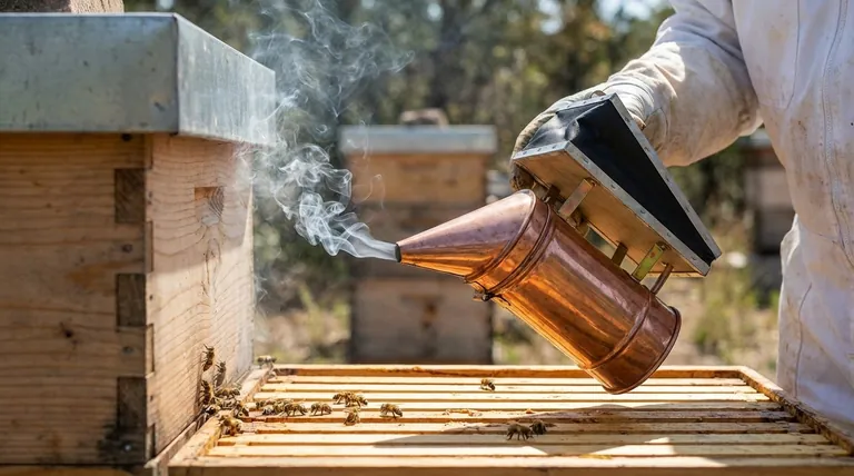 Pourquoi les apiculteurs utilisent-ils la fumée ? La science derrière les inspections calmes de la ruche
