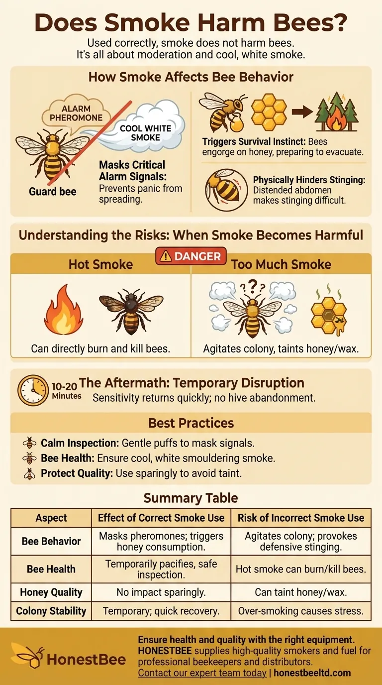 Does smoke harm bees? The Truth About Safe Beekeeping Practices Visual Guide