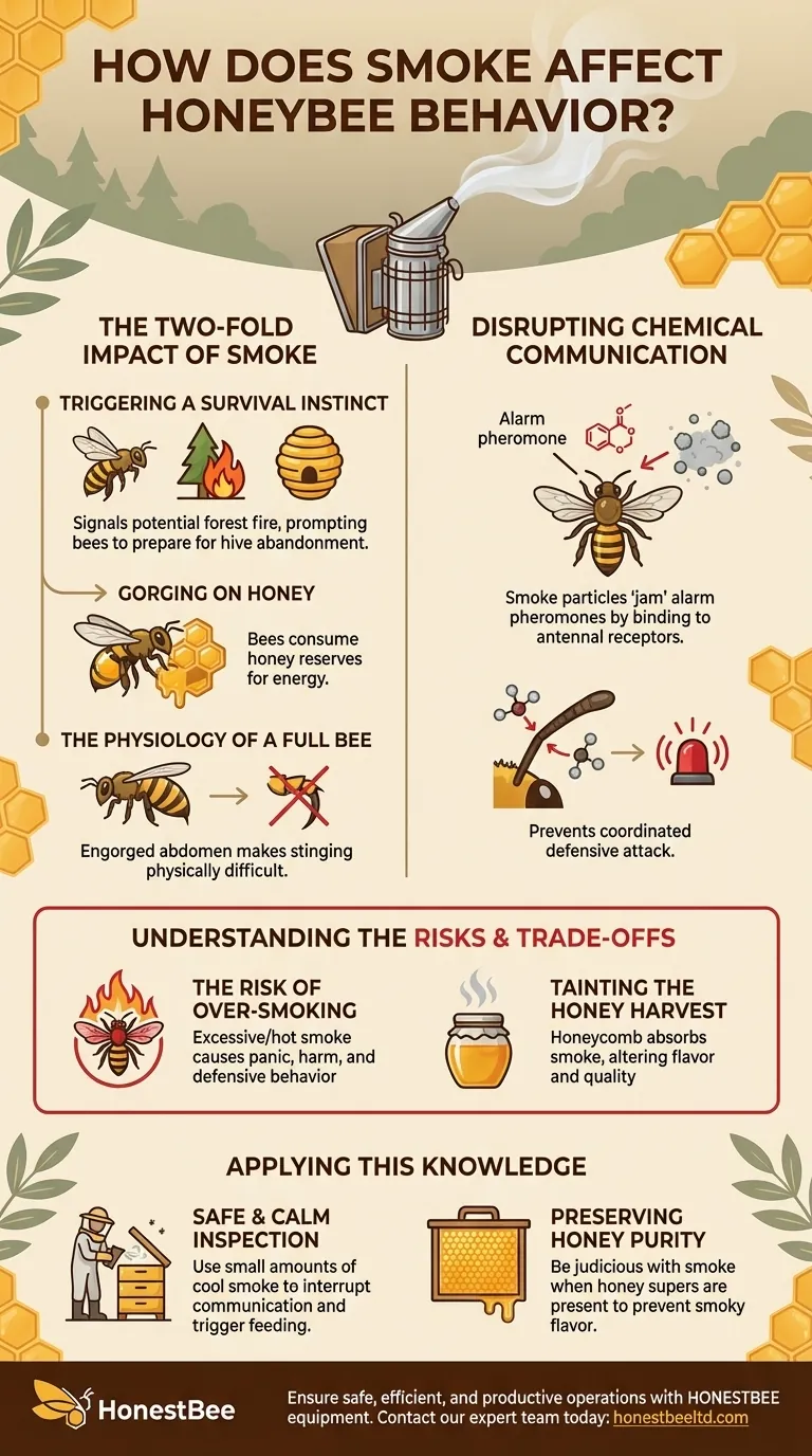 How does smoke affect honeybee behavior? Master the Art of Calming Your Hive Safely Visual Guide