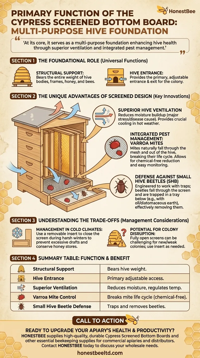 Qual è la funzione principale del fondo a rete in cipresso? Uno strumento chiave per la salute dell'alveare e il controllo dei parassiti Guida Visiva