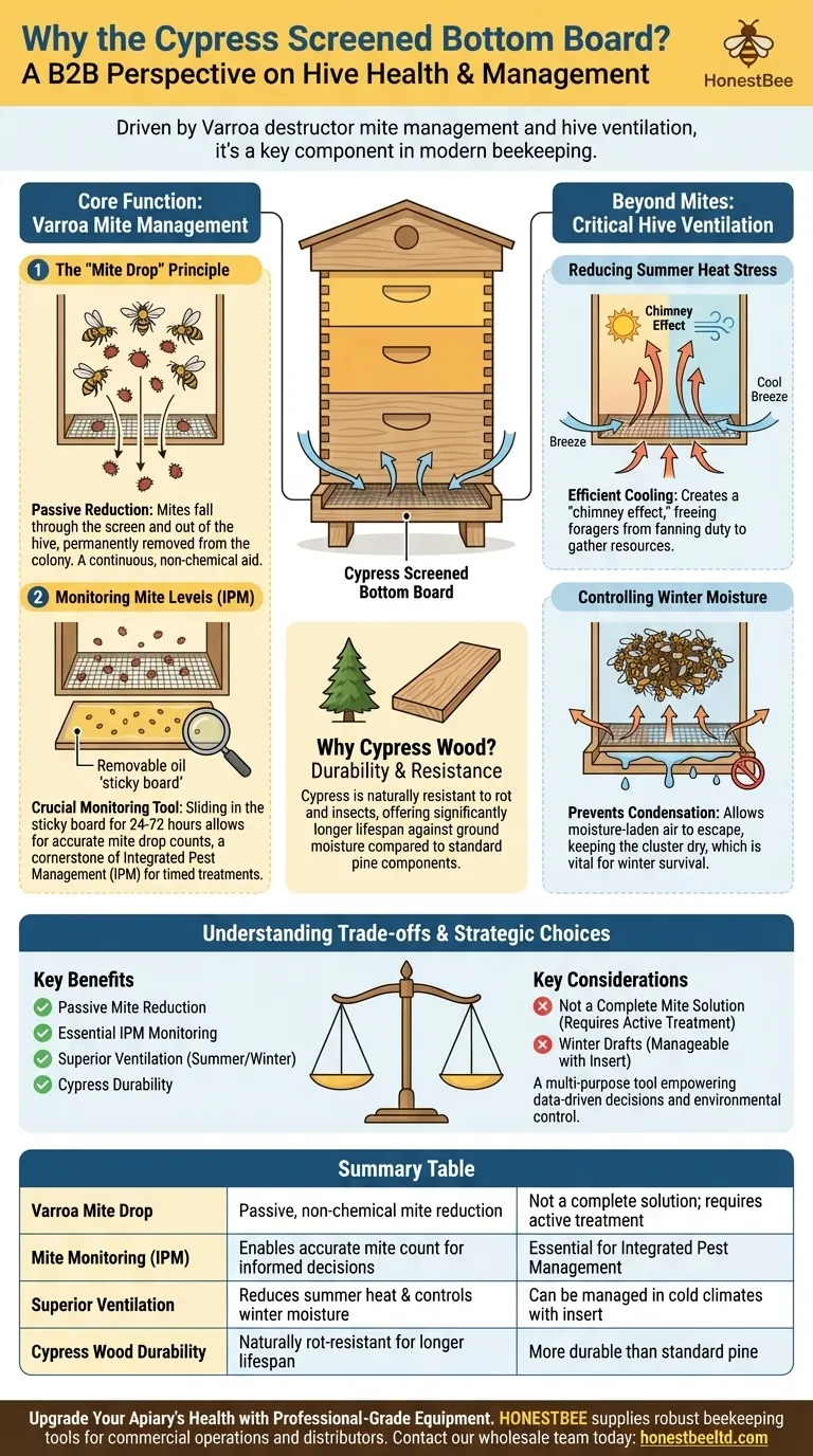 Why has the Cypress Screened Bottom Board become popular in the last decade? Essential for Varroa Mite Control & Hive Health Visual Guide
